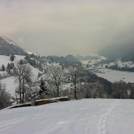 博尔蒂根 400-Year-Old Vintage Swiss Chalet旅馆 外观 照片