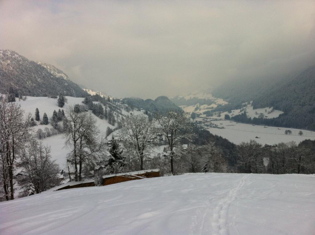 博尔蒂根 400-Year-Old Vintage Swiss Chalet旅馆 外观 照片